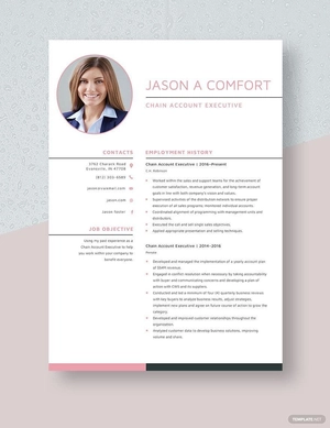 Chain Account Executive Resume
