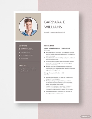 Change Management Analyst Resume