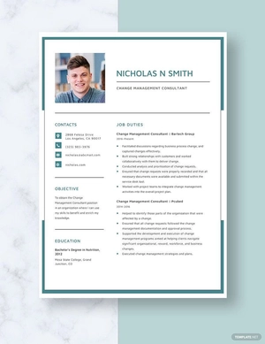 Change Management Consultant Resume