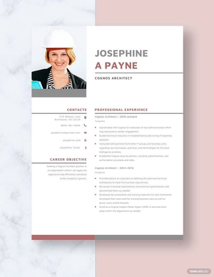 Cognos Architect Resume