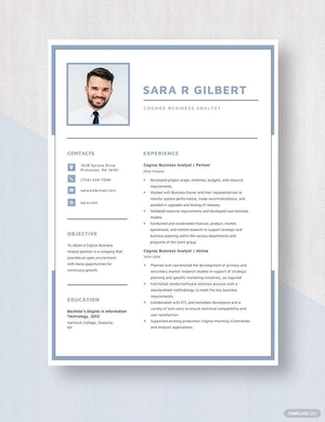 Cognos Business Analyst Resume