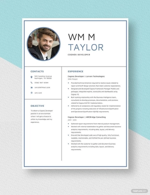 Cognos Developer Resume