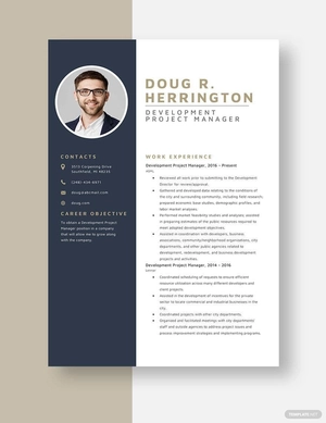 Development Project Manager Resume