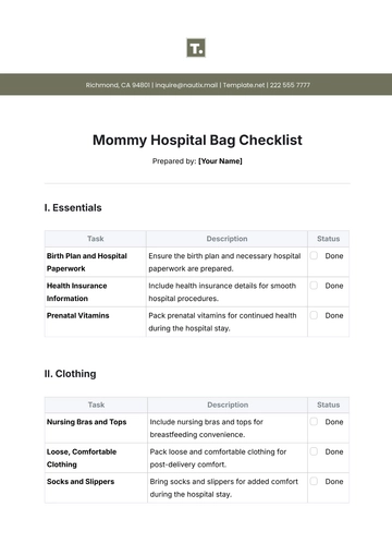 Free Mommy Hospital Bag Checklist Template to Edit Online