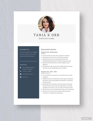 Dispatch Clerk Resume