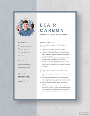 Corporate Fraud Investigator Resume