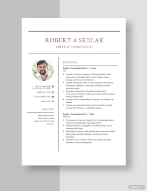 Creative Technologist Resume