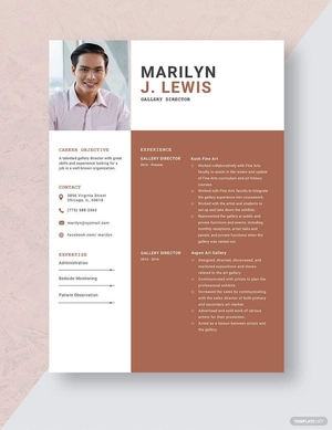 Gallery Director Resume