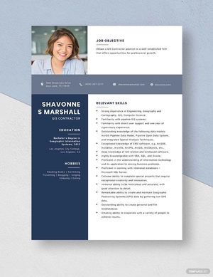 GIS Contractor Resume