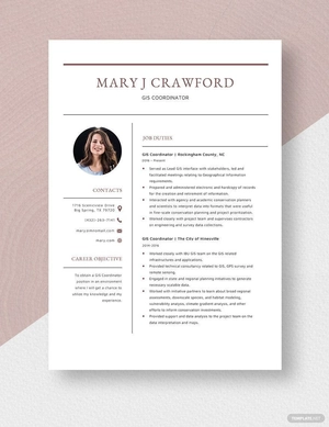 GIS Coordinator Resume