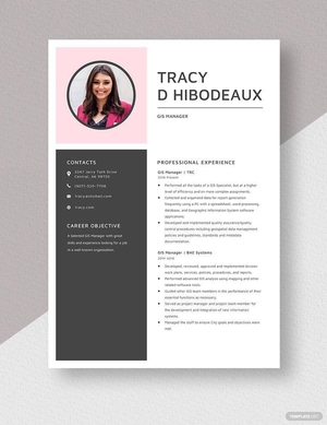 GIS Manager Resume