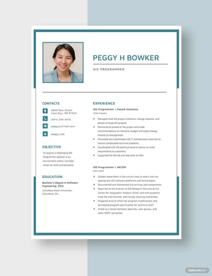 GIS Programmer Resume