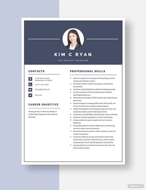 GIS Project Manager Resume