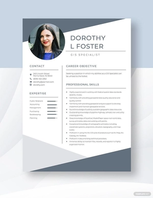 GIS Specialist Resume