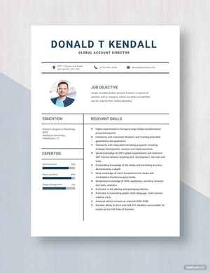 Global Account Director Resume