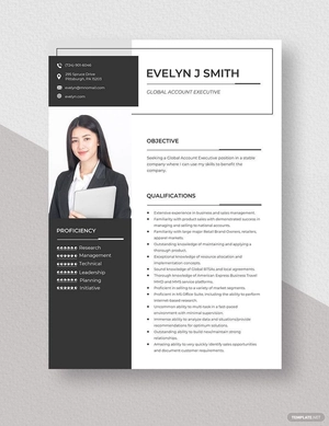 Global Account Executive Resume