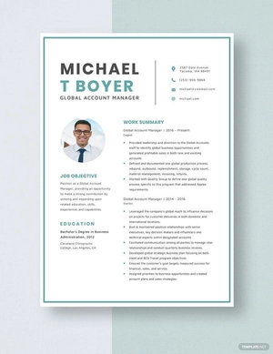Global Account Manager Resume