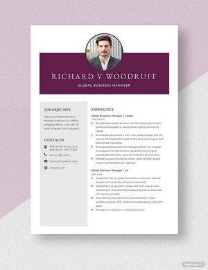 Global Business Manager Resume