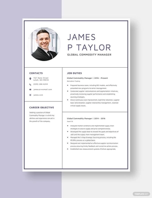 Global Commodity Manager Resume