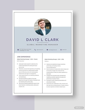 Global Marketing Manager Resume