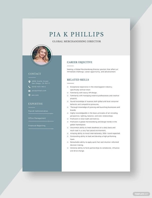 Global Merchandising Director Resume