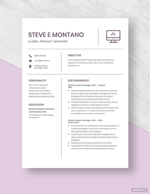 Global Product Manager Resume