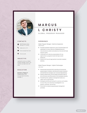 Global Program Manager Resume