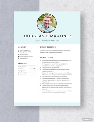Global Project Manager Resume