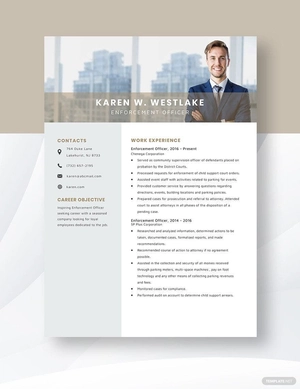 Enforcement Officer Resume