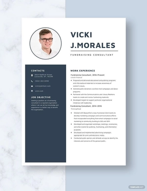 Fundraising Consultant Resume