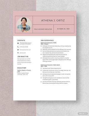 Field Account Executive Resume