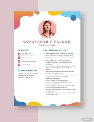 Finance Manager Resume