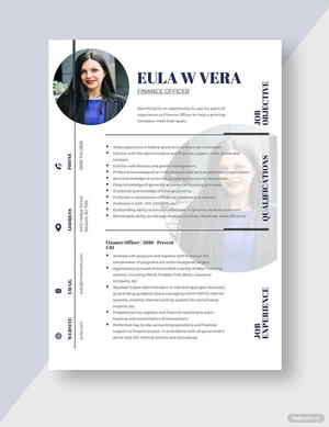 Finance Officer Resume