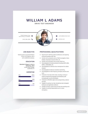 Drive Test Engineer Resume