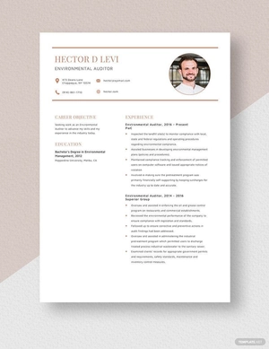 Environmental Auditor Resume