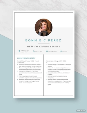 Financial Account Manager Resume