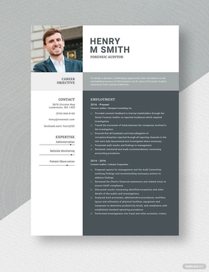 Forensic Auditor Resume