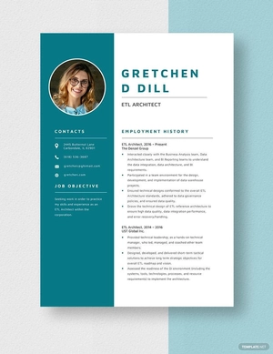 ETL Architect Resume