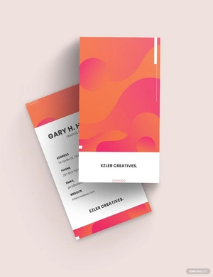 Graphic Business Card Design Template