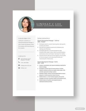 Channel Development Manager Resume