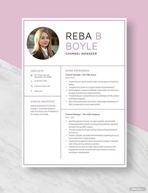 Channel Manager Resume