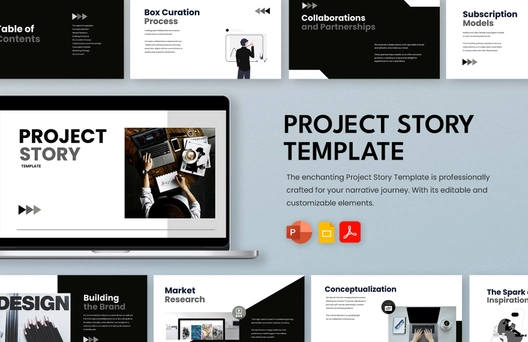 Project Story