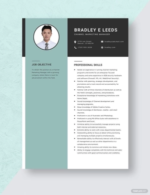 Channel Marketing Manager Resume