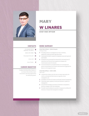 Chief Risk Officer Resume