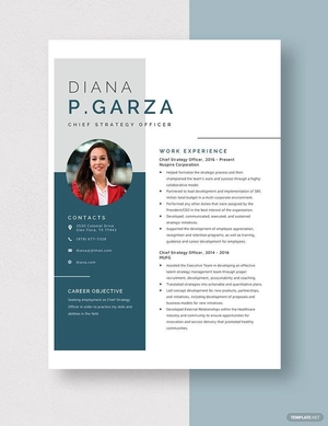 Chief Strategy Officer Resume