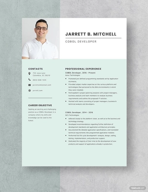 COBOL Developer Resume