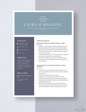 Global Retail Business Development Manager Resume