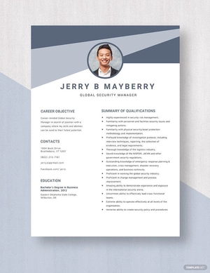 Global Security Manager Resume