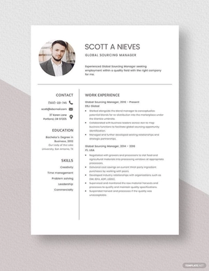 Global Sourcing Manager Resume