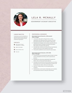 Government Account Executive Resume